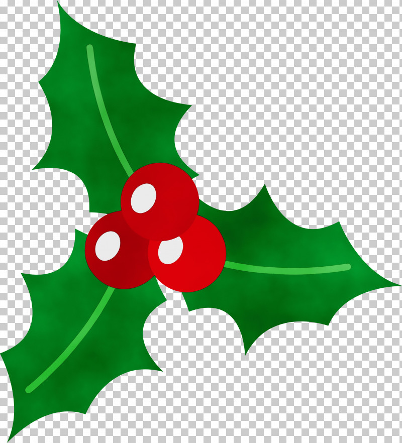 Holly PNG, Clipart, Christmas Ornament, Flower, Green, Holly, Leaf Free PNG Download