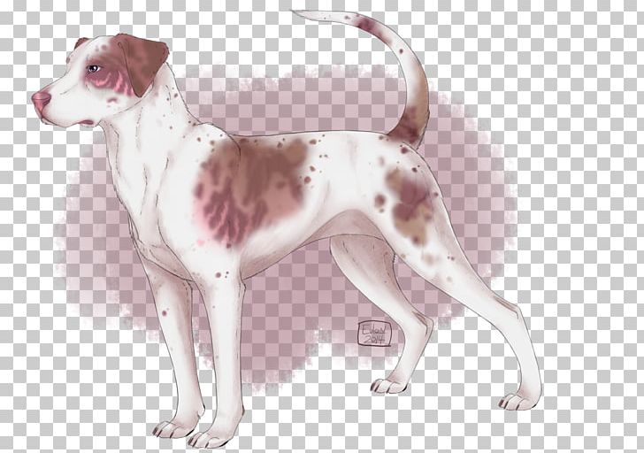 Drentse Patrijshond English Setter Old Danish Pointer English Foxhound Dog Breed PNG, Clipart, Art, Breed, Carnivoran, Catahoula Cur, Companion Dog Free PNG Download