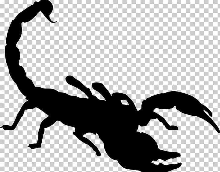 Scorpion Silhouette PNG, Clipart, Black And White, Clip Art, Computer Icons, Drawing, Insects Free PNG Download