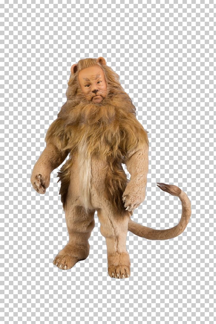 The Cowardly Lion Macaque Wikimedia Commons PNG, Clipart, Animals, Carnivoran, Cercopithecidae, Cowardly Lion, Fur Free PNG Download
