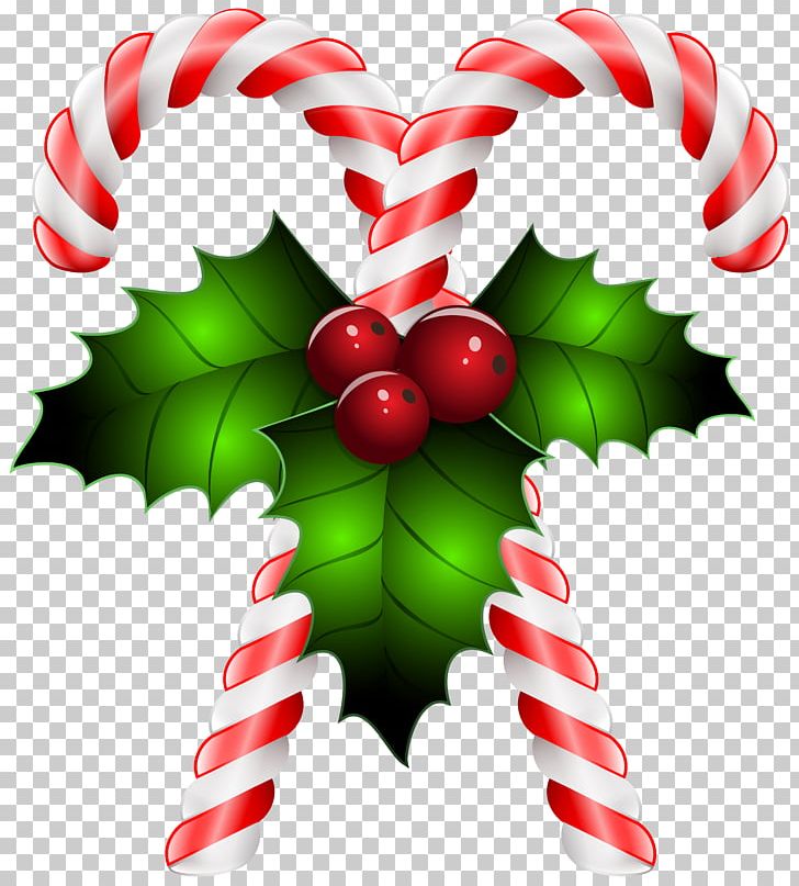 Candy Cane Lollipop Stick Candy PNG, Clipart, Aquifoliaceae, Aquifoliales, Candy, Candy Cane, Christmas Free PNG Download