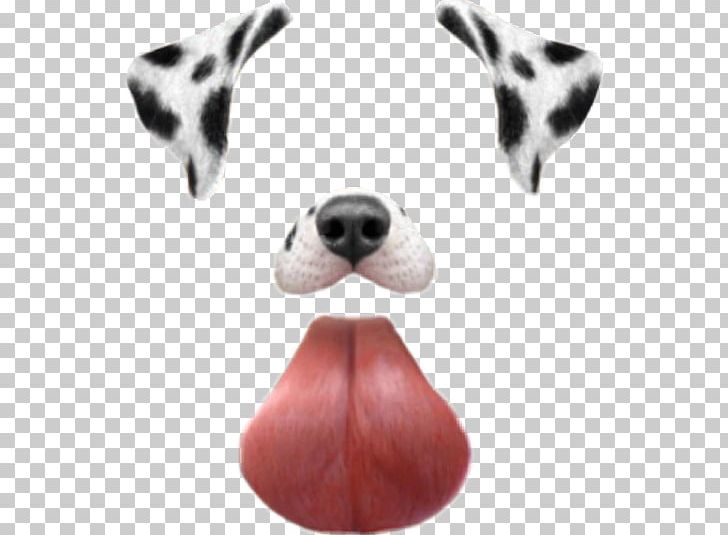 Dalmatian Dog Photographic Filter Dachshund PNG, Clipart, Animals, Camera, Carnivoran, Computer Icons, Dachshund Free PNG Download