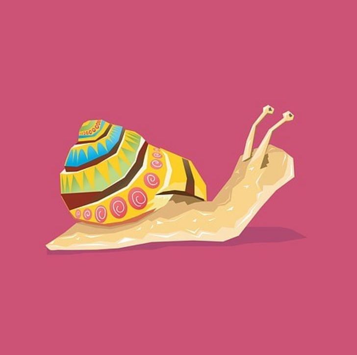 Snail Gastropods Photography PNG, Clipart, Animals, Art, Color, Drawing, Gastropods Free PNG Download