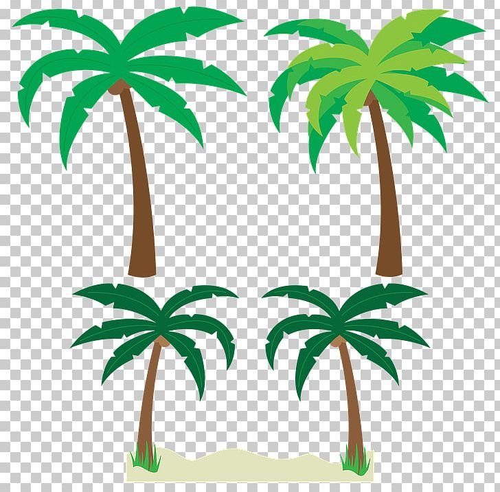 Arecaceae Tree PNG, Clipart, Arecaceae, Arecales, Coconut, Drawing, Flowering Plant Free PNG Download