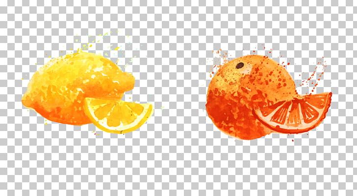 Orange Fruit Auglis Food PNG, Clipart, Aedmaasikas, Auglis, Balloon Cartoon, Cartoon, Cartoon Character Free PNG Download