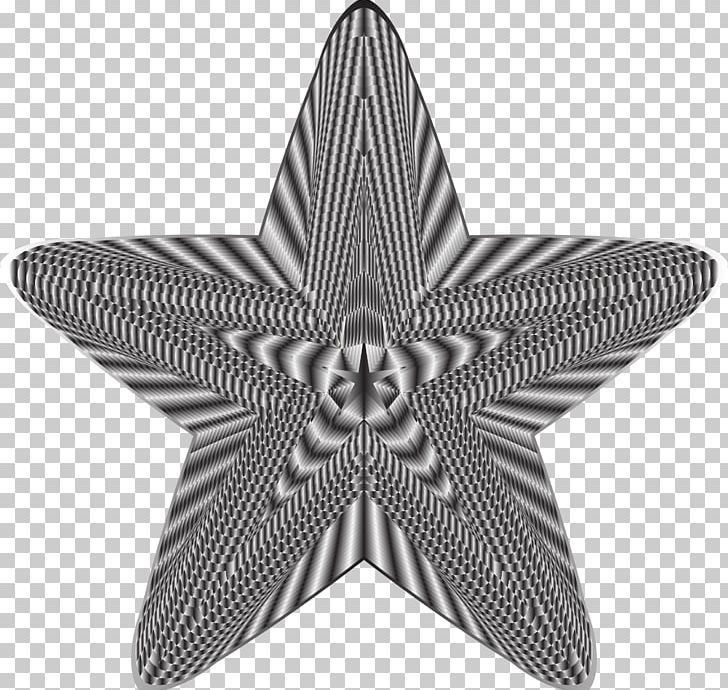 Starfish PNG, Clipart, 5 Star, Abyssal Zone, Angle, Animals, Black Free PNG Download