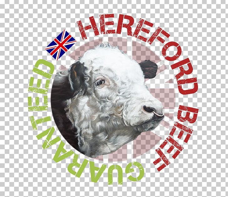 The Hereford Cattle Society Beef Cattle Angus Cattle Iron Horse Ranch House PNG, Clipart, Angus Cattle, Beef, Beef Cattle, Breed, Cattle Free PNG Download