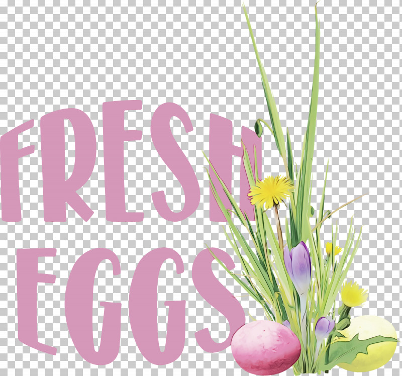 Floral Design PNG, Clipart, Biology, Cut Flowers, Floral Design, Flower, Fresh Eggs Free PNG Download