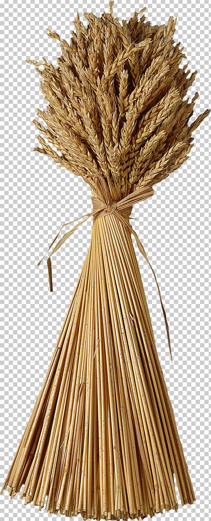 Wheat Sheaf PNG, Clipart, Book, Cereal, Cereal Germ, Clip Art, Commodity Free PNG Download