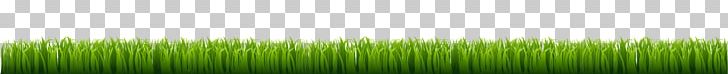 Green Angle PNG, Clipart, Angle, Background Green, Gradient, Grass, Grass Family Free PNG Download