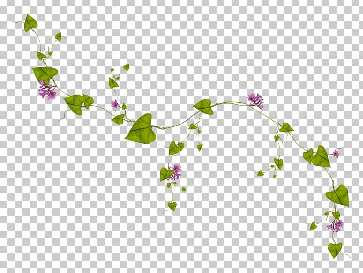 Photography Film Desktop PNG, Clipart, Actor, Art Museum, Blossom, Branch, Celebrities Free PNG Download