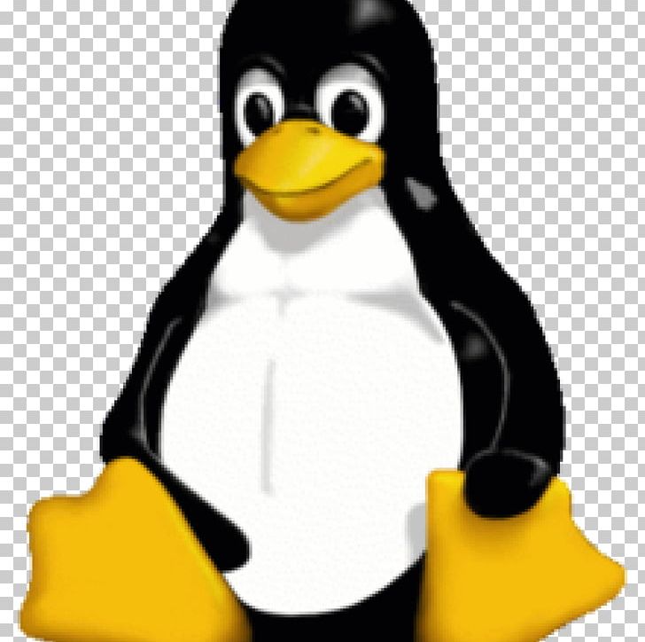 Pingus Tux Linux Distribution Installation PNG, Clipart, Beak, Bird, Computer Software, Debian Gnulinux, Flightless Bird Free PNG Download