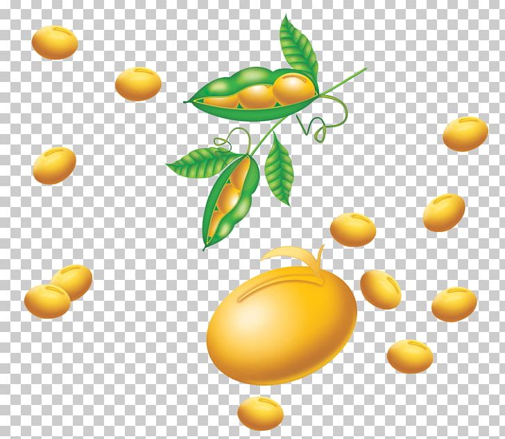 Soy Milk Soybean Pea PNG, Clipart, Butterfly Pea, Cartoon, Cartoon Soybean, Citrus, Common Bean Free PNG Download
