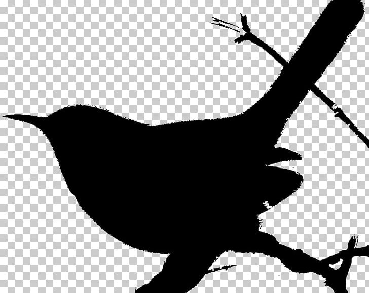 House Wren Bird Cactus Wren PNG, Clipart, American Robin, Beak, Bird, Black And White, Branch Free PNG Download