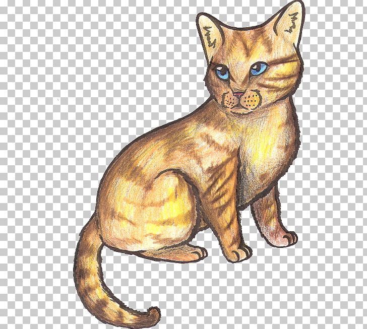 Whiskers Wildcat Tabby Cat Domestic Short-haired Cat PNG, Clipart, Asian, Carnivoran, Cartoon, Cat Like Mammal, Claw Free PNG Download
