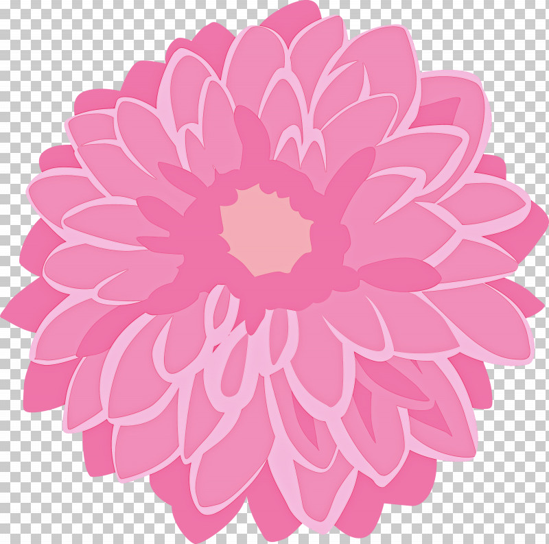 Pink Petal Flower Plant Dahlia PNG, Clipart, Aster, Cut Flowers, Dahlia, Daisy Family, Flower Free PNG Download
