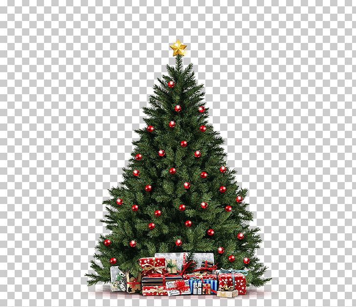 Artificial Christmas Tree Christmas Ornament Pine PNG, Clipart, Artificial Christmas Tree, Christmas, Christmas Decoration, Christmas Ornament, Christmas Tree Free PNG Download