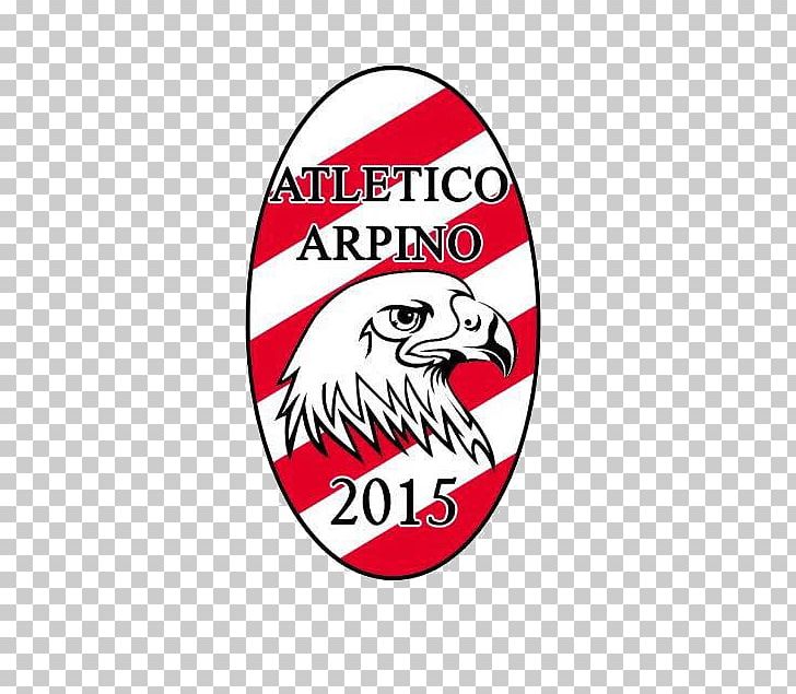 Seconda Categoria Associazione Sportiva Dilettantistica Ceccano Arpino Player PNG, Clipart,  Free PNG Download