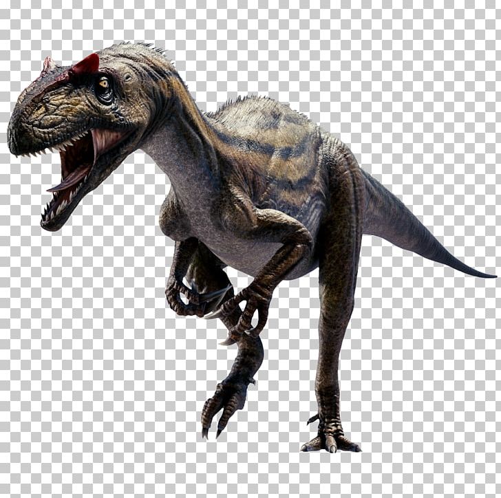 Allosaurus Tyrannosaurus Velociraptor 3D Dinosaur VR PNG, Clipart, 3d Computer Graphics, 3d Dinosaurs, 3d Dinosaur Vr, Animal, Animal Teeth Free PNG Download