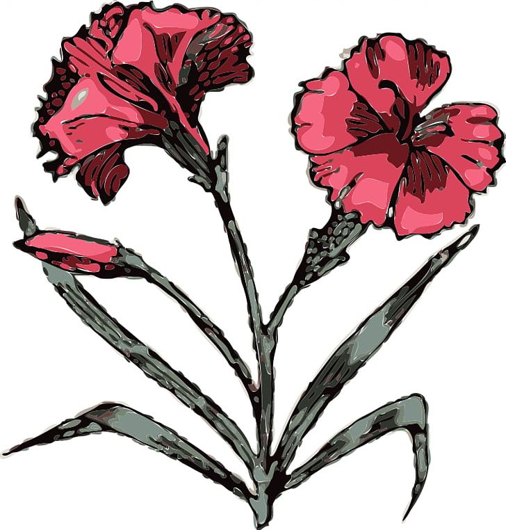 Carnation Scalable Graphics Free Content PNG, Clipart, Artwork, Carnation, Carnation Flower Tattoo, Cut Flowers, Dianthus Free PNG Download