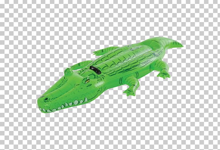 Crocodile Alligator Swimming Pool Animal PNG, Clipart, Alligator, Animal, Animal Figure, Animals, Crocodile Free PNG Download
