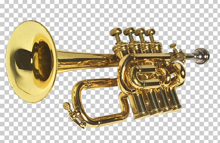 Homogeneous And Heterogeneous Mixtures Chemical Compound Chemical Substance Prof. Dr. Erdem Tezel Plastic PNG, Clipart, Brass Instrument, Flugelhorn, Marching Band, Metal Background, Metal Texture Free PNG Download