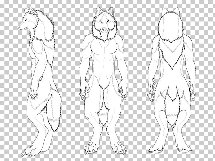 Line Art Drawing Werewolf Character Sketch PNG, Clipart, Anthro, Arm, Artwork, Black And White, Carnivoran Free PNG Download