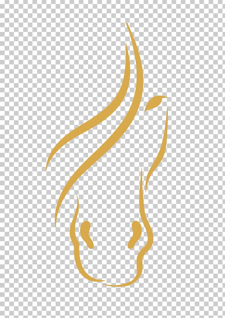 Lipizzan Arabian Horse Drawing PNG, Clipart, Arabian Horse, Computer Wallpaper, Drawing, Equestrian, Horse Free PNG Download