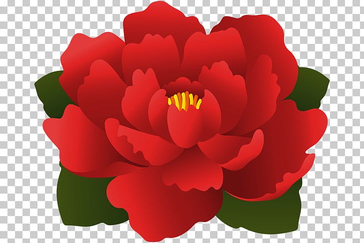 Others Annual Plant Flower PNG, Clipart, Annual Plant, Art, Art Museum, Camellia, Clip Free PNG Download