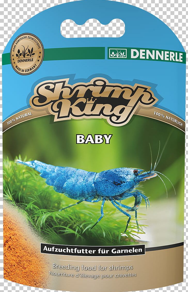 Baby Food Shrimp Nutrition Healthy Diet PNG, Clipart, Animals, Baby Food, Diet, Eating, Ecosystem Free PNG Download