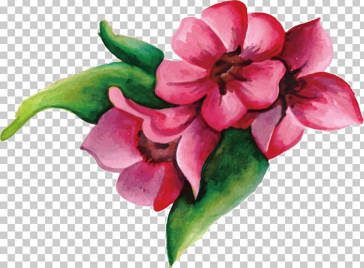 Flower Pink PNG, Clipart, Color, Cut Flowers, Decorative Patterns, Flora, Floral Design Free PNG Download
