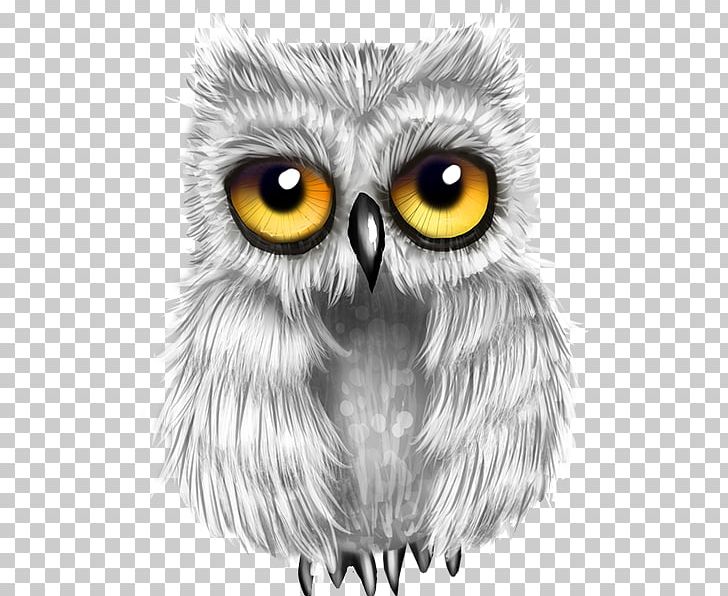 Great Grey Owl Drawing Bird PNG, Clipart, Animals, Beak, Bird, Bird Of Prey, Black And White Free PNG Download