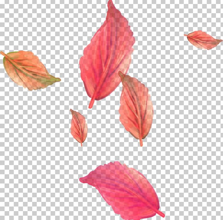 Leaf Lossless Compression PNG, Clipart, Data, Data Compression, Dots Per Inch, Drawing, Flower Free PNG Download