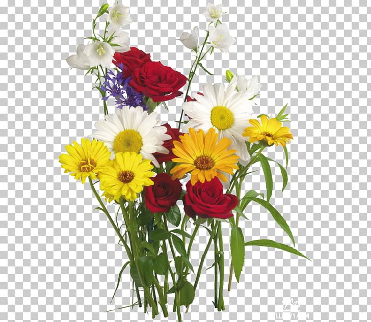 Flower Bouquet Desktop PNG, Clipart, Annual Plant, Camomile, Chamomile, Chrysanths, Cut Flowers Free PNG Download