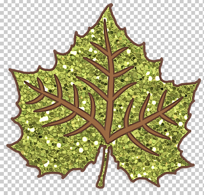 Maple Leaf PNG, Clipart, Black Maple, Grape Leaves, Holly, Ivy, Leaf Free PNG Download