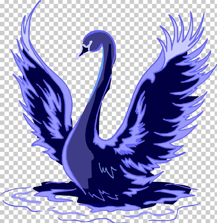 Black Swan Trumpeter Swan PNG, Clipart, Animal, Animals, Beak, Bird, Cartoon  Swan Free PNG Download