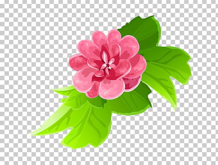 Cut Flowers Color Floral Design PNG, Clipart, Annual Plant, Art, Color, Cut Flowers, Floral Design Free PNG Download
