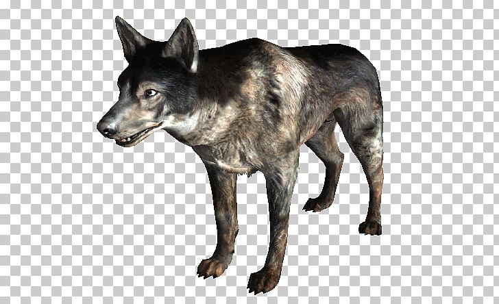 Fallout 3 Fallout: New Vegas Dogmeat The Vault PNG, Clipart, Carnivoran, Coyote, Dog, Dog Like Mammal, Dogmeat Free PNG Download