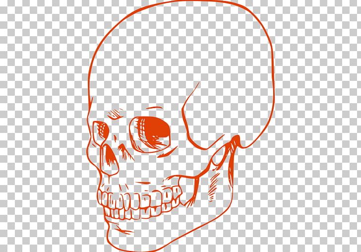 Human Skull Coloring Book Drawing Calavera PNG, Clipart, Adult, Area, Artwork, Bone, Brain Free PNG Download