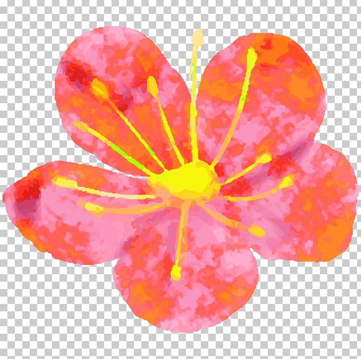 Petal Art Plum Blossom PNG, Clipart, Art, Cherry Blossom, Flower, Flowering Plant, Handwriting Free PNG Download
