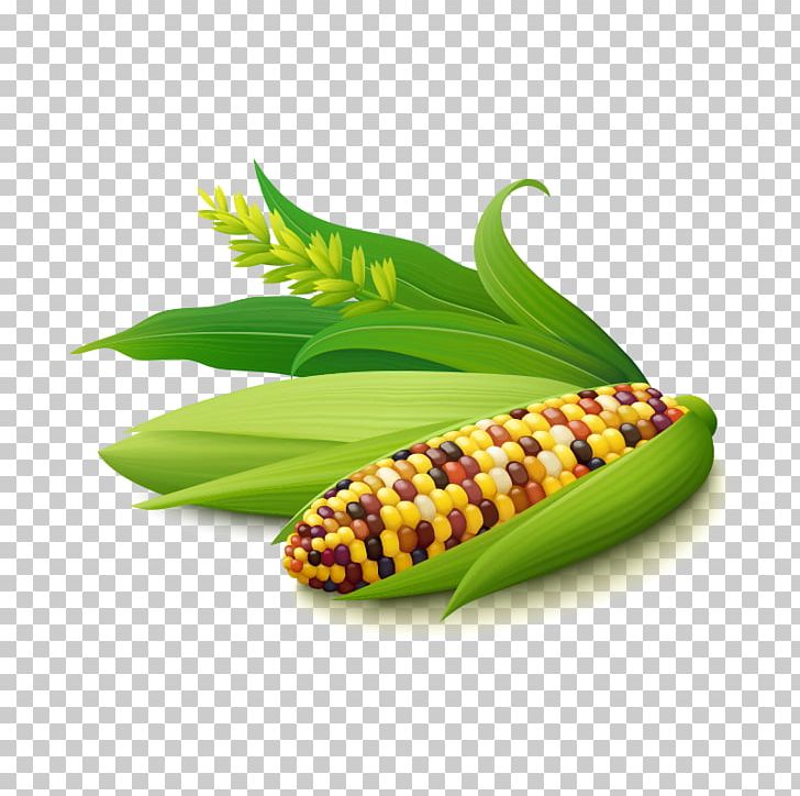 Corn On The Cob Maize Corn Kernel Illustration PNG, Clipart, Baogu, Cartoon Corn, Commodity, Corn, Corn Cartoon Free PNG Download
