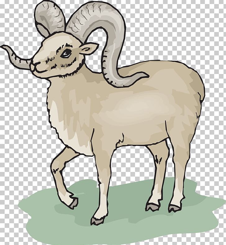 Rocky Mountain Bighorn Sheep Dall's Sheep PNG, Clipart,  Free PNG Download