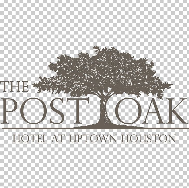 The Post Oak Hotel At Uptown Houston Hilton Garden Inn Houston/Galleria Area Post Oak Boulevard PNG, Clipart,  Free PNG Download