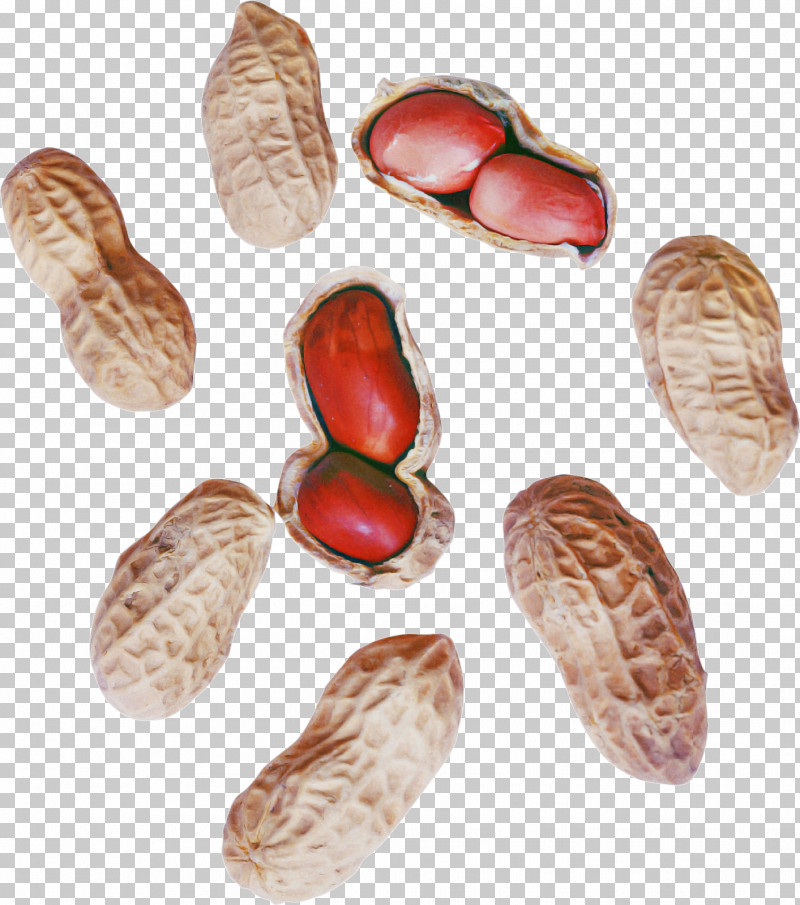 Peanut Commodity Superfood PNG, Clipart, Commodity, Peanut, Superfood Free PNG Download