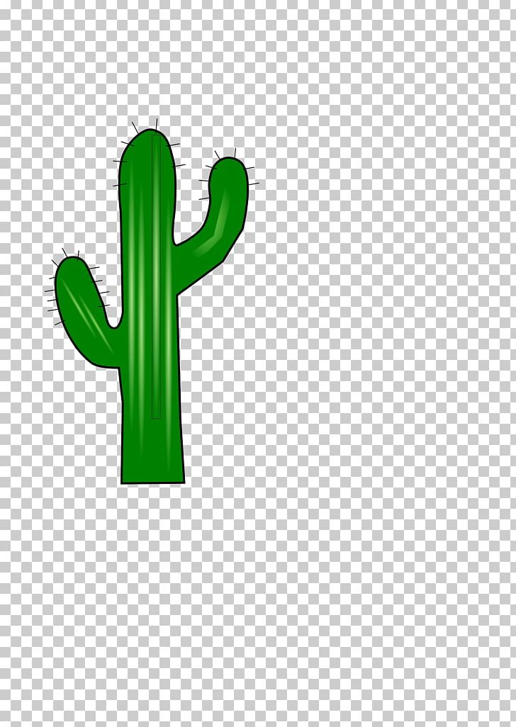 Cactaceae PNG, Clipart, Cactaceae, Cactus, Computer Graphics, Download, Finger Free PNG Download