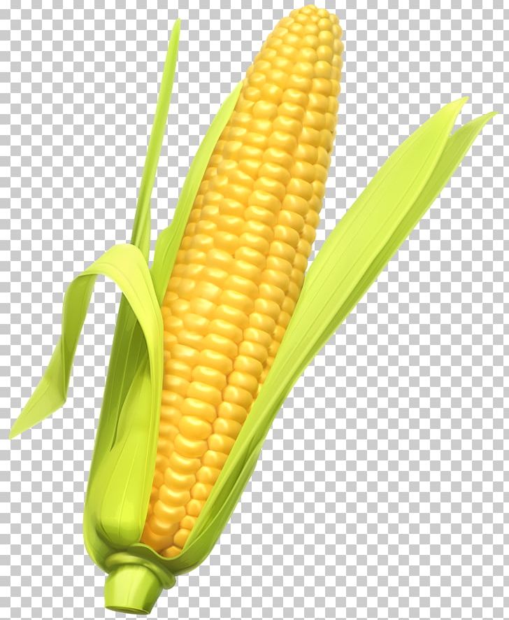 Corn On The Cob Maize Vegetable PNG, Clipart, Clip Art, Commodity, Corn, Corn Kernels, Corn On The Cob Free PNG Download