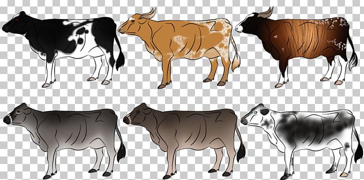 Dairy Cattle Zebu Ox Wildlife PNG, Clipart, Animal, Animal Figure, Bull, Calf, Cattle Free PNG Download