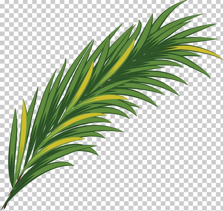 Green Watercolor Painting Leaf PNG, Clipart, Arecaceae, Arecales, Background Green, Beautiful, Beautiful Pine Free PNG Download