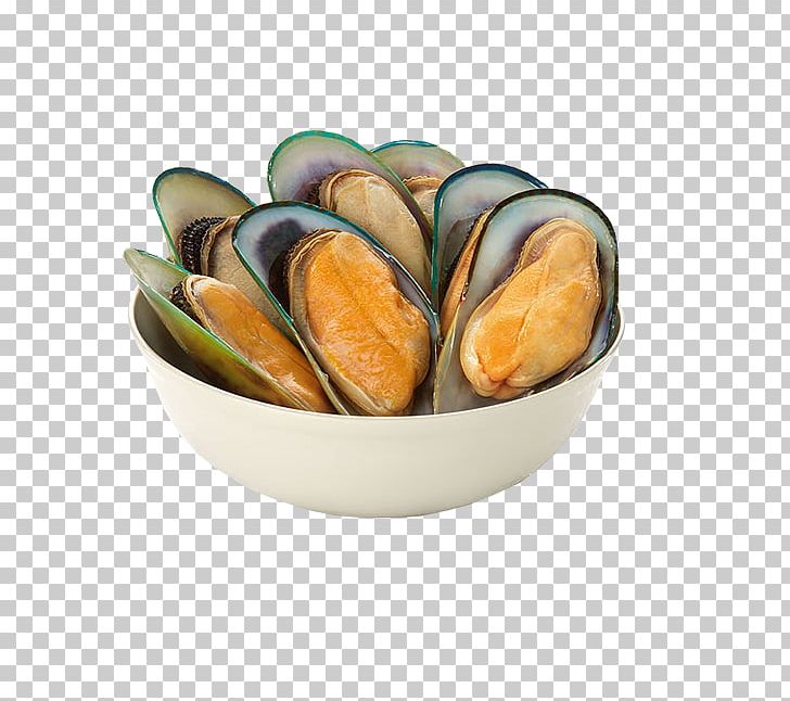 Mussel Clam Shellfish Molluscs Seafood PNG, Clipart, Animal Source Foods, Bowl, Charoen Pokphand, Clam, Clams Oysters Mussels And Scallops Free PNG Download