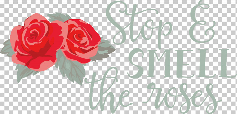 Rose Stop And Smell The Roses PNG, Clipart, Cut Flowers, Floral Design, Flower, Flower Bouquet, Garden Free PNG Download